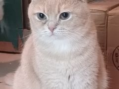 -平行世界·猫咖(首经贸店)