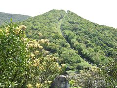 -梧桐山风景名胜区