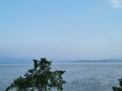 -深圳湾公园(南山区)
