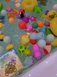 点击看大图 -TAILY BABYSPA泰丽宝贝婴儿游泳(金狮广场店)