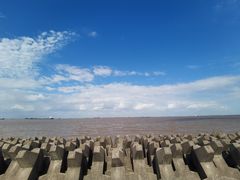 -上海滨江森林公园