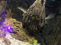 -常州海昌海洋探索馆