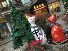-猫咪博物馆(顶澳仔猫街店)