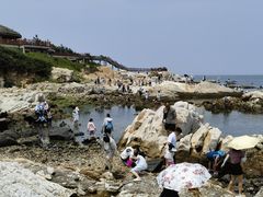 -养马岛旅游度假区