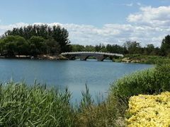 -大兴滨河森林公园