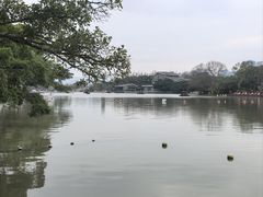 -江心屿景区