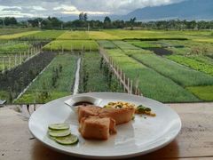 -翠田Green Field Kitchen