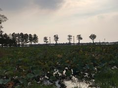 -滆湖低碳生态公园