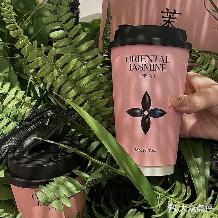 郑州️在正弘城️期待已久的茉莉奶白终于来了