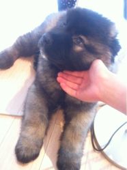 -艾妃罗高科美肤美甲美睫健康管理