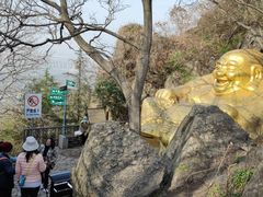 -紫金山山顶公园