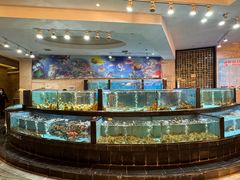 -国龙大酒店-中餐厅