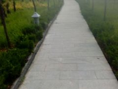 -灵山莲花公园-温泉度假区