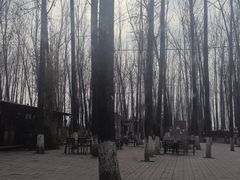 -林间山庄