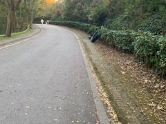 -南京市江宁方山