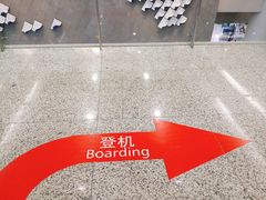 -上海浦东国际机场-T2航站楼