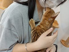 -Heymao猫咖.咖啡厅(东门店)