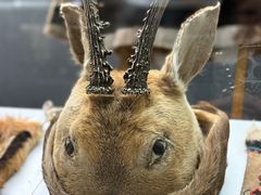 -北京服装学院民族服饰博物馆