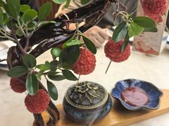 -唐猫庭院·千年陕菜(大唐不夜城店)