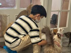 -楼上猫咖(罗湖店)