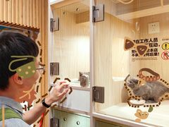 -屋虎猫馆(宝安大仟里店)