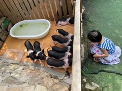 -HERRE·FARM 赫尔露营农场·团建聚会包场