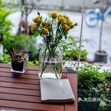 春光正好，赏花逗猫喝一杯咖啡｜南泊山咖啡
