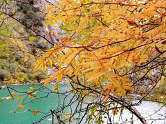 -叠溪松坪沟景区