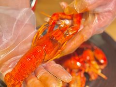 -沪小胖·小龙虾·蓝龙王(八佰伴店)