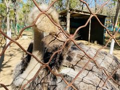 -草根堂农场