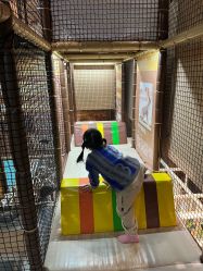 -卡通尼·Safari非洲探索乐园·生日会(金桥国际商业广场店)