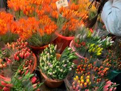 -循礼门鲜花花市(武汉循礼门店)