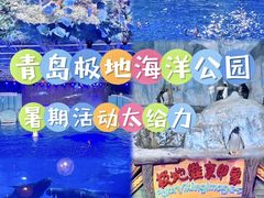 -海合安青岛极地海洋公园