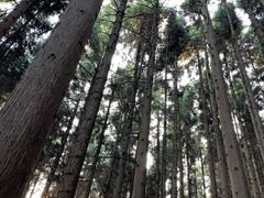 -山王坪喀斯特国家生态公园