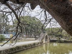-江心屿景区
