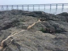 -黑石礁公园