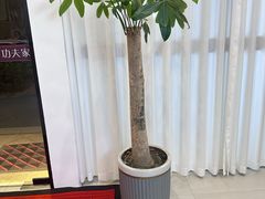 -悦园影院式·足道·养生spa