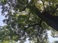 -北京上方山国家森林公园