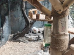 -Zoolung Zoolung动物主题公园(海信广场店)