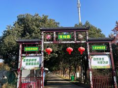 -渌洋湖湿地公园