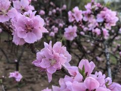 -城市运动公园(未央区)