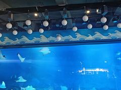 -烟台海昌鲸鲨海洋公园