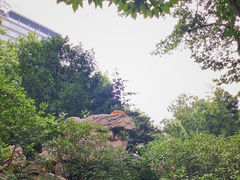 -静安公园(静安寺街道)