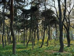 -长春市南湖公园