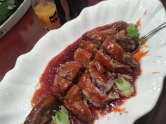 -丁老爷子苏香圆