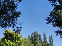 -东郊湿地公园