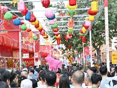 -越秀西湖花市(广州城市广场花卉店)