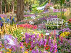 -广州市白云山风景名胜区