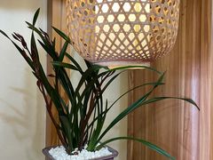 -龙华素斋(龙华路店)