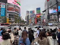 -涩谷全向十字路口